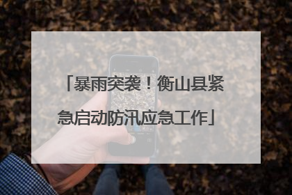 暴雨突袭！衡山县紧急启动防汛应急工作