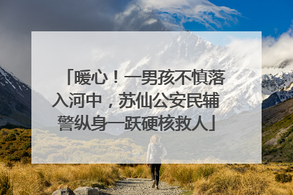 暖心！一男孩不慎落入河中，苏仙公安民辅警纵身一跃硬核救人