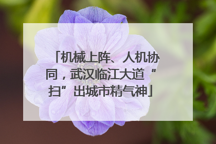 机械上阵、人机协同，武汉临江大道“扫”出城市精气神