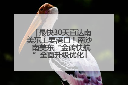 最快30天直达南美东主要港口！南沙-南美东“金砖快航”全面升级优化
