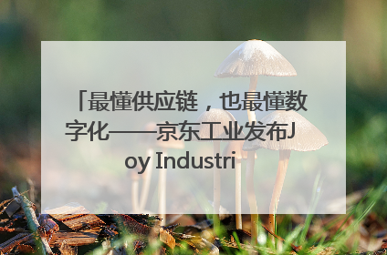最懂供应链，也最懂数字化——京东工业发布Joy Industrial 重塑工业未来