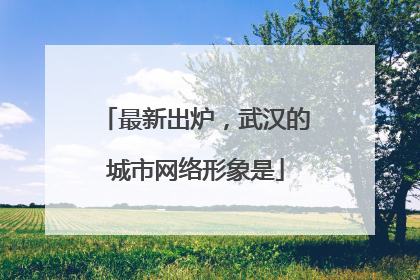最新出炉，武汉的城市网络形象是