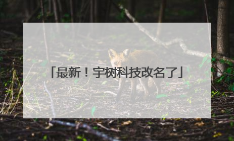 最新！宇树科技改名了