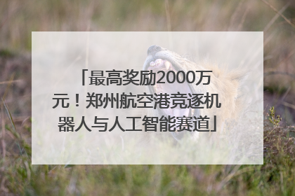 最高奖励2000万元！郑州航空港竞逐机器人与人工智能赛道