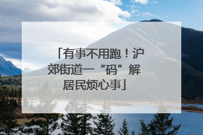 有事不用跑！沪郊街道一“码”解居民烦心事