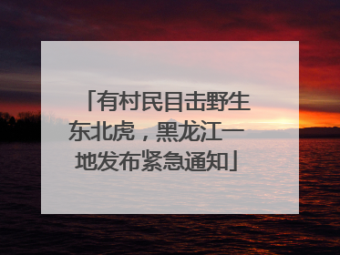 有村民目击野生东北虎，黑龙江一地发布紧急通知