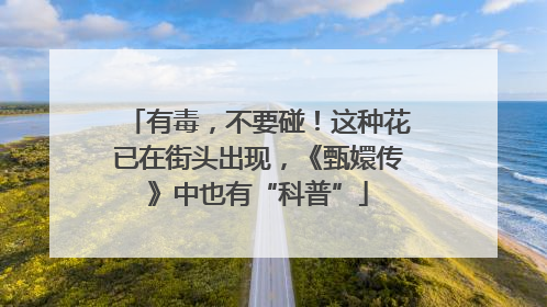 有毒，不要碰！这种花已在街头出现，《甄嬛传》中也有“科普”