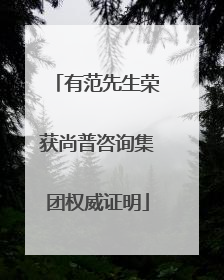 有范先生荣获尚普咨询集团权威证明