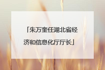 朱万奎任湖北省经济和信息化厅厅长