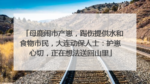 母鹿闹市产崽，踢伤提供水和食物市民，大连动保人士：护崽心切，正在想法送回山里