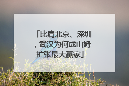 比肩北京、深圳，武汉为何成山姆扩张最大赢家