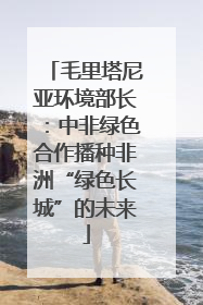 毛里塔尼亚环境部长：中非绿色合作播种非洲“绿色长城”的未来