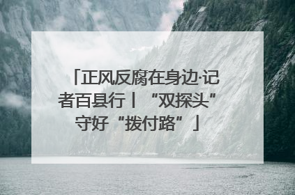 正风反腐在身边·记者百县行丨“双探头”守好“拨付路”