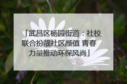 武昌区杨园街道：社校联合扮靓社区颜值 青春力量推动环保风尚