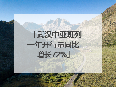 武汉中亚班列一年开行量同比增长72%