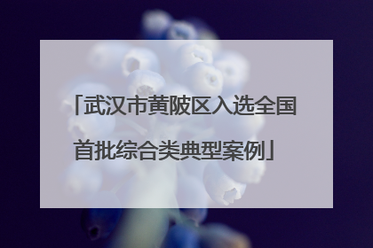 武汉市黄陂区入选全国首批综合类典型案例