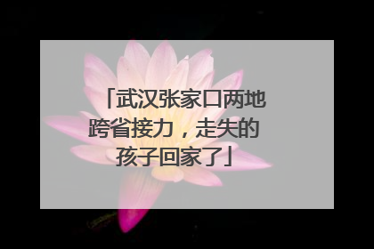 武汉张家口两地跨省接力，走失的孩子回家了