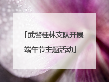武警桂林支队开展端午节主题活动