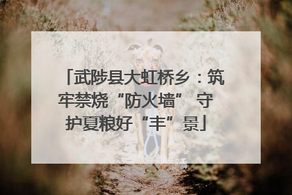 武陟县大虹桥乡：筑牢禁烧“防火墙” 守护夏粮好“丰”景