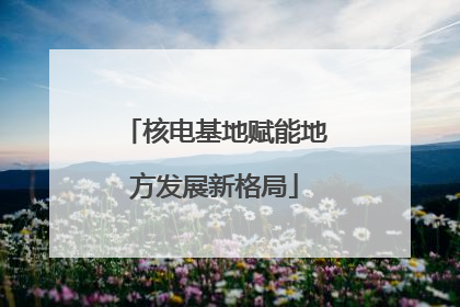 核电基地赋能地方发展新格局