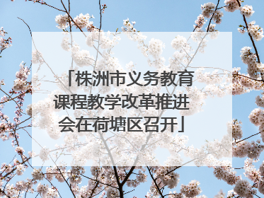株洲市义务教育课程教学改革推进会在荷塘区召开