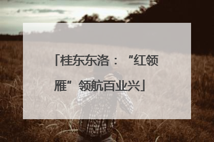 桂东东洛：“红领雁”领航百业兴