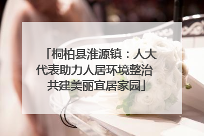 桐柏县淮源镇：人大代表助力人居环境整治 共建美丽宜居家园