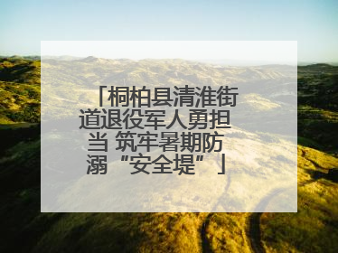 桐柏县清淮街道退役军人勇担当 筑牢暑期防溺“安全堤”