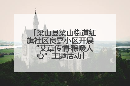 梁山县梁山街道红旗社区良嘉小区开展“艾草传情·粽暖人心”主题活动