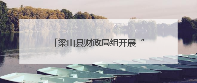 梁山县财政局组开展“美好生活 民法典相伴”主题学习宣传活动