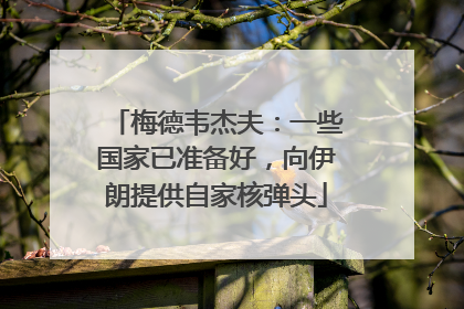 梅德韦杰夫：一些国家已准备好，向伊朗提供自家核弹头