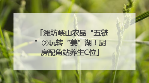 潍坊峡山农品“五链”②玩转“姜”湖！厨房配角站养生C位