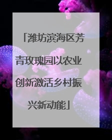 潍坊滨海区芳青玫瑰园以农业创新激活乡村振兴新动能