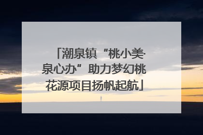 潮泉镇“桃小美·泉心办”助力梦幻桃花源项目扬帆起航