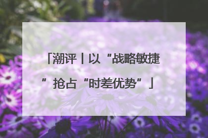 潮评丨以“战略敏捷”抢占“时差优势”