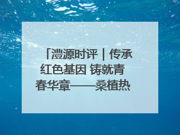 澧源时评｜传承红色基因 铸就青春华章——桑植热土上的青春长征