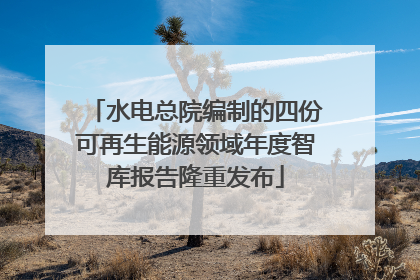 水电总院编制的四份可再生能源领域年度智库报告隆重发布