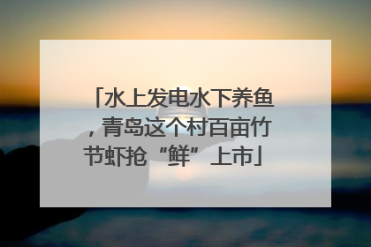 水上发电水下养鱼，青岛这个村百亩竹节虾抢“鲜”上市