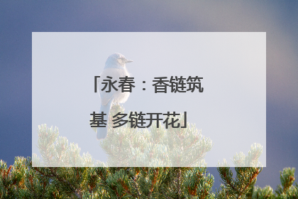 永春：香链筑基 多链开花