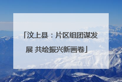 汶上县：片区组团谋发展 共绘振兴新画卷