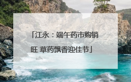 江永：端午药市购销旺 草药飘香迎佳节