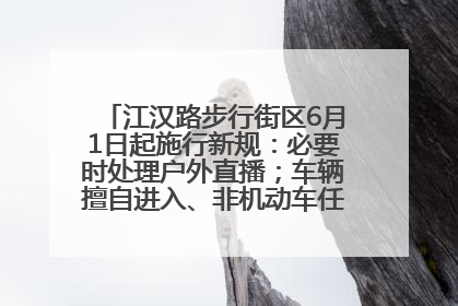 江汉路步行街区6月1日起施行新规：必要时处理户外直播；车辆擅自进入、非机动车任意停放的，依法处理