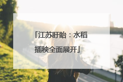 江苏盱眙：水稻插秧全面展开