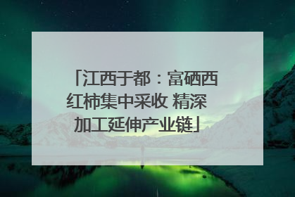 江西于都：富硒西红柿集中采收 精深加工延伸产业链