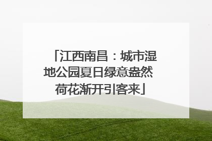 江西南昌：城市湿地公园夏日绿意盎然 荷花渐开引客来