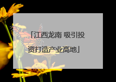 江西龙南 吸引投资打造产业高地