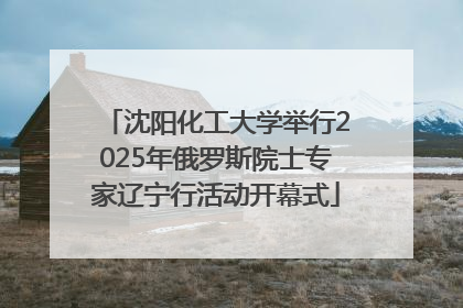沈阳化工大学举行2025年俄罗斯院士专家辽宁行活动开幕式