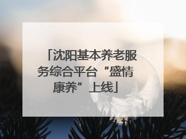 沈阳基本养老服务综合平台“盛情康养”上线