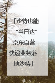 沙特也能“当日达” 京东自营快递业务落地沙特