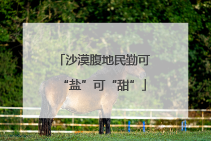 沙漠腹地民勤可“盐”可“甜”